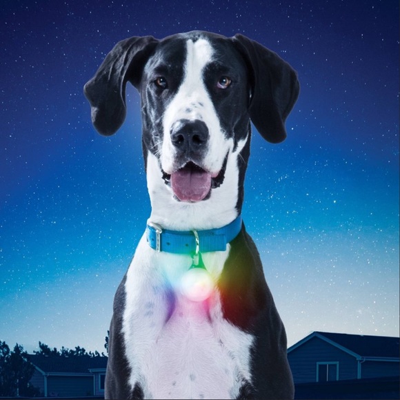 New! Nite Ize SpotLit Rechargeable Disc-O Light
Dog Collar LIGHT - XL - Picture 2 of 15